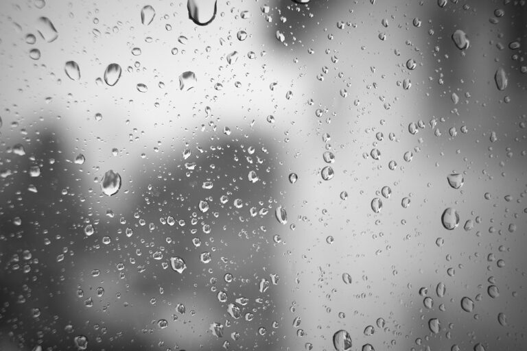 rain drops on window